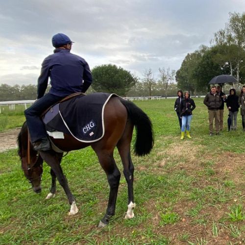 Horse Racing Conseil - Evénements
